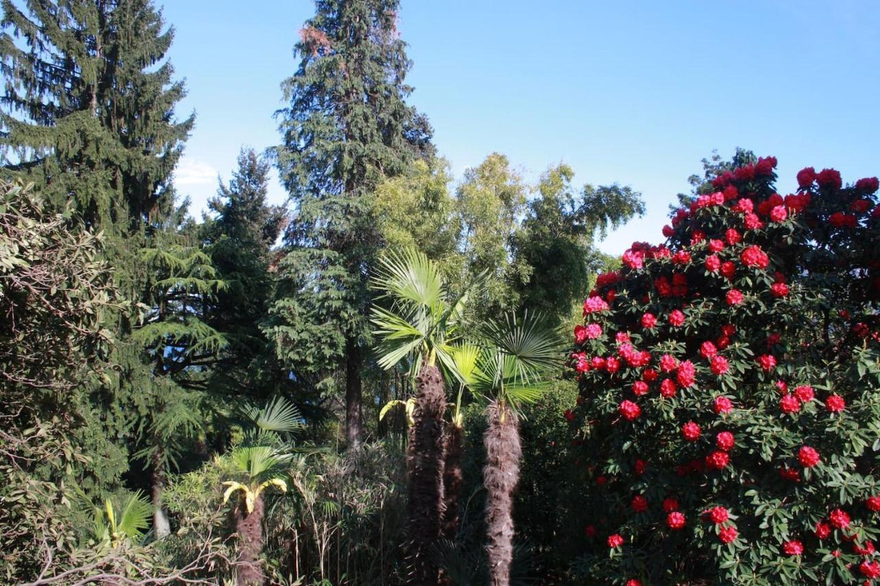 La Camelia D'Oro Διαμέρισμα Oggebio Εξωτερικό φωτογραφία
